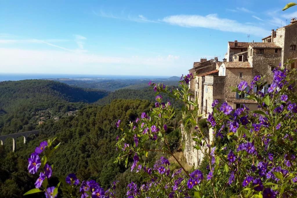Guest App'Art Apartment Tourrettes-sur-Loup Exterior photo